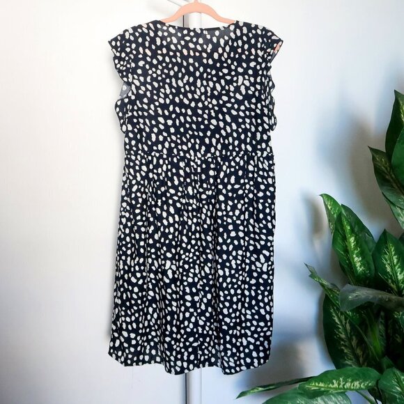 KIRUNDO Black & White Leopard Mini Ruffle V-neck Floral Embroidery Mini Dress M - Picture 4 of 12